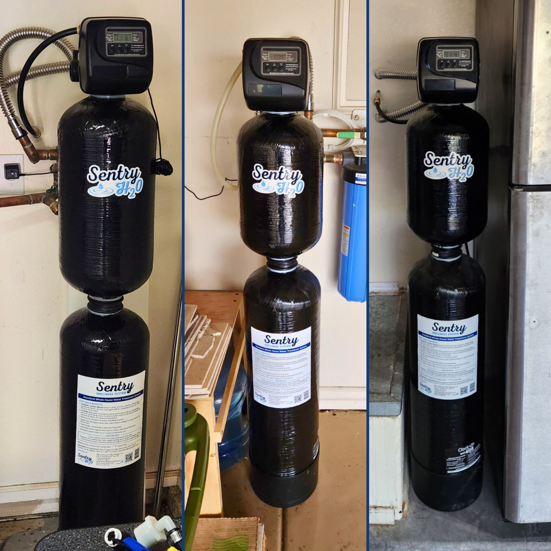 Sentry Whole House Wellness Filter System