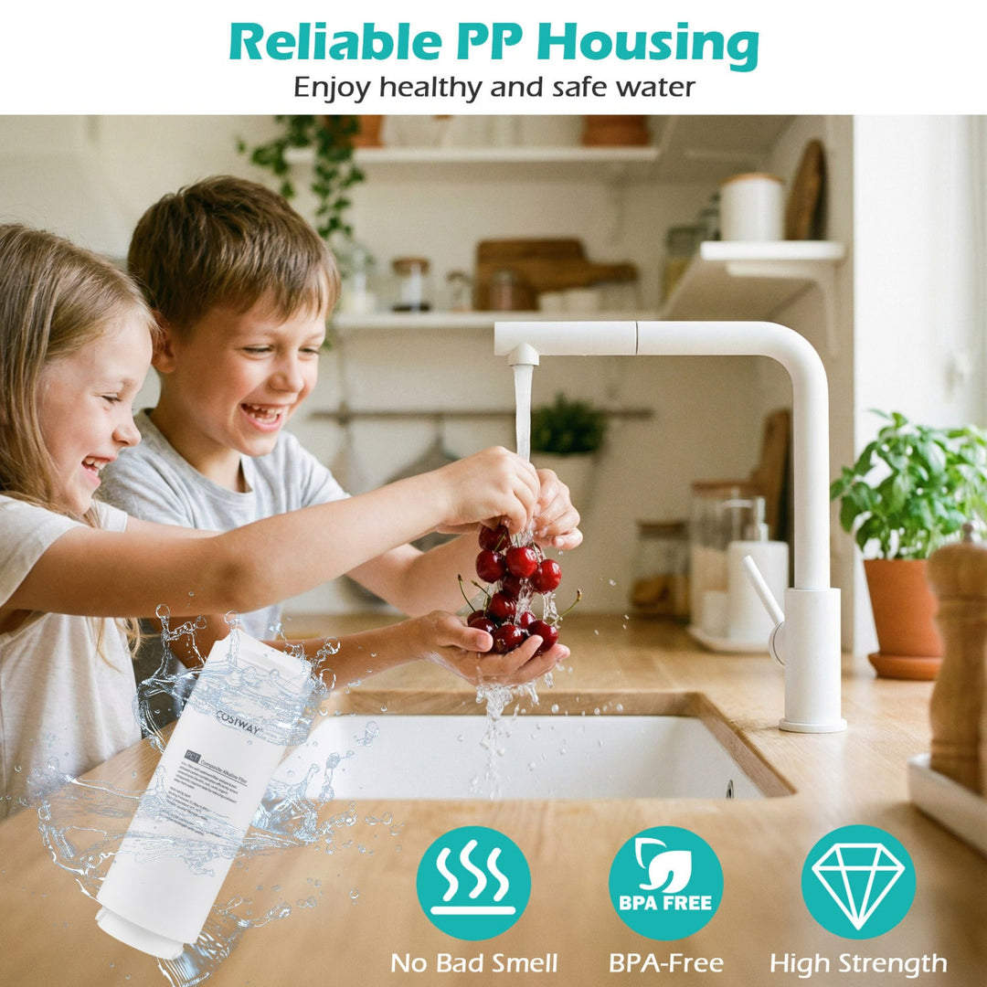 DirectDeals Replacement PCT Filter for AW-RB20/AW-RB05 Under-Sink Reverse Osmosis System