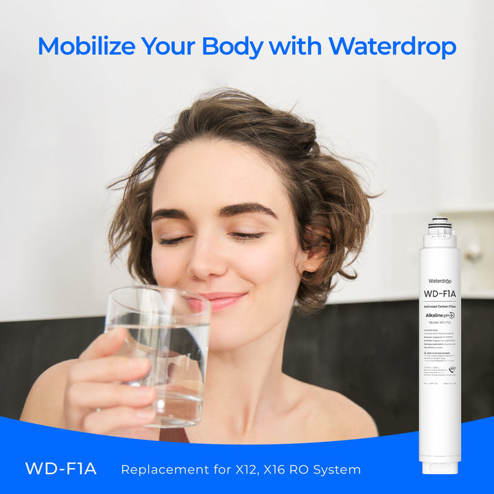 WD-F1A replacement filter product view 8