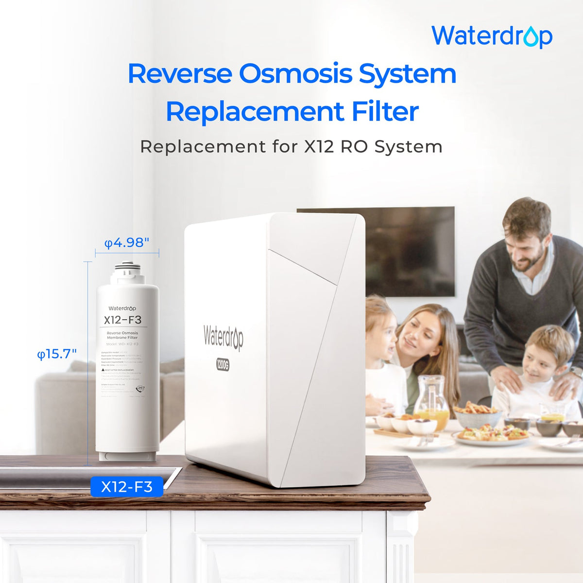 WD-X12-F3 replacement filter product view 2