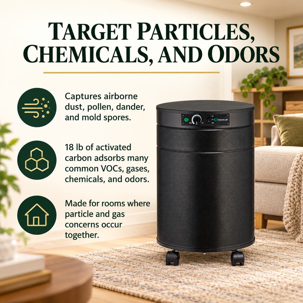 Airpura P600 particle chemical and odor filtration benefits