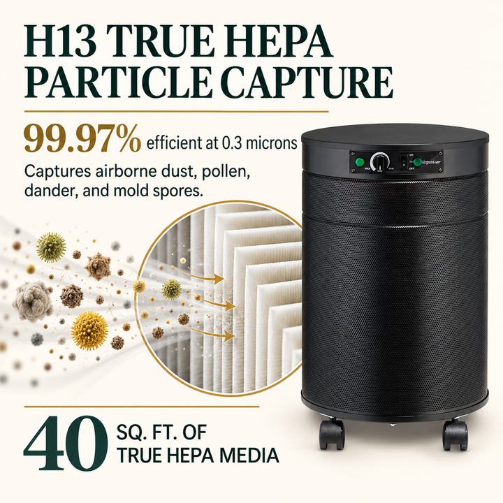 Airpura P600 H13 True HEPA particle capture