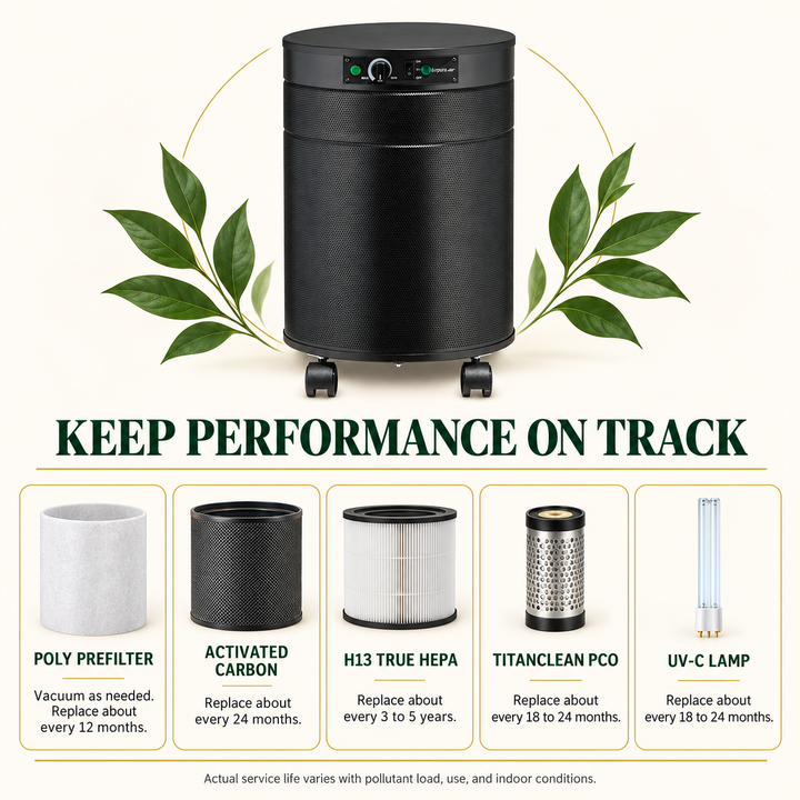 Airpura P600 filter PCO and UV-C maintenance intervals