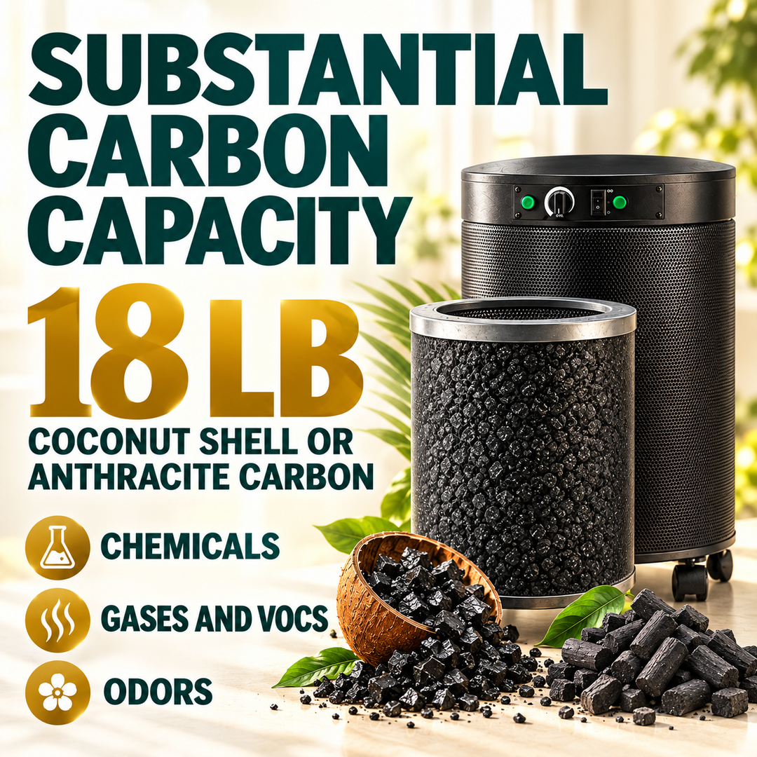 Airpura P600+ carbon options
