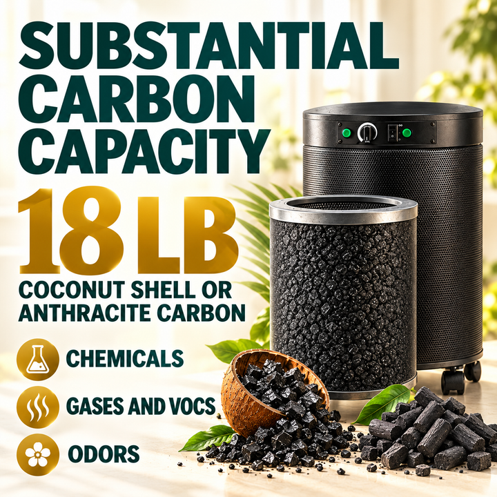Airpura P600+ carbon options