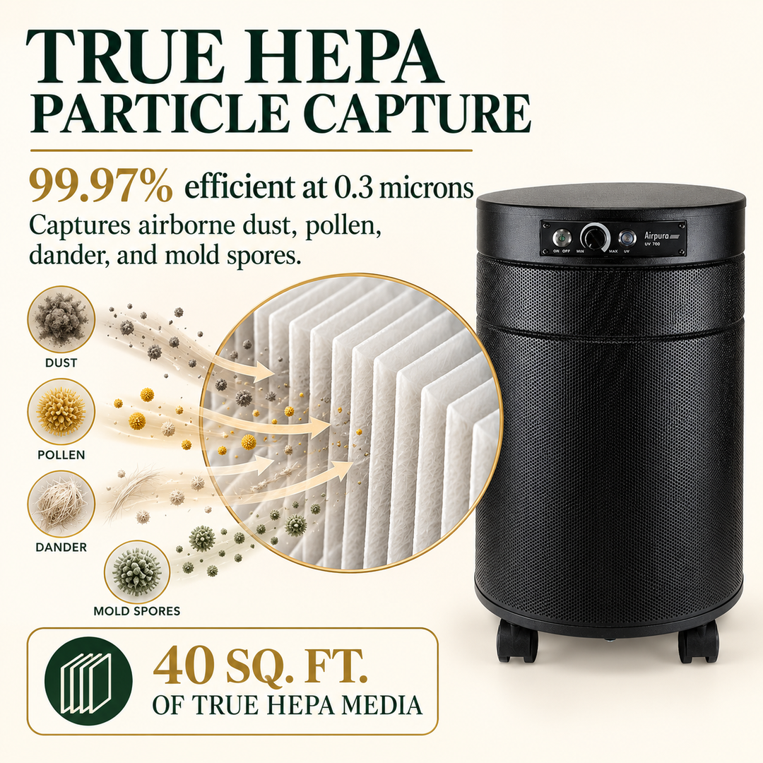 Airpura P700 True HEPA particle capture