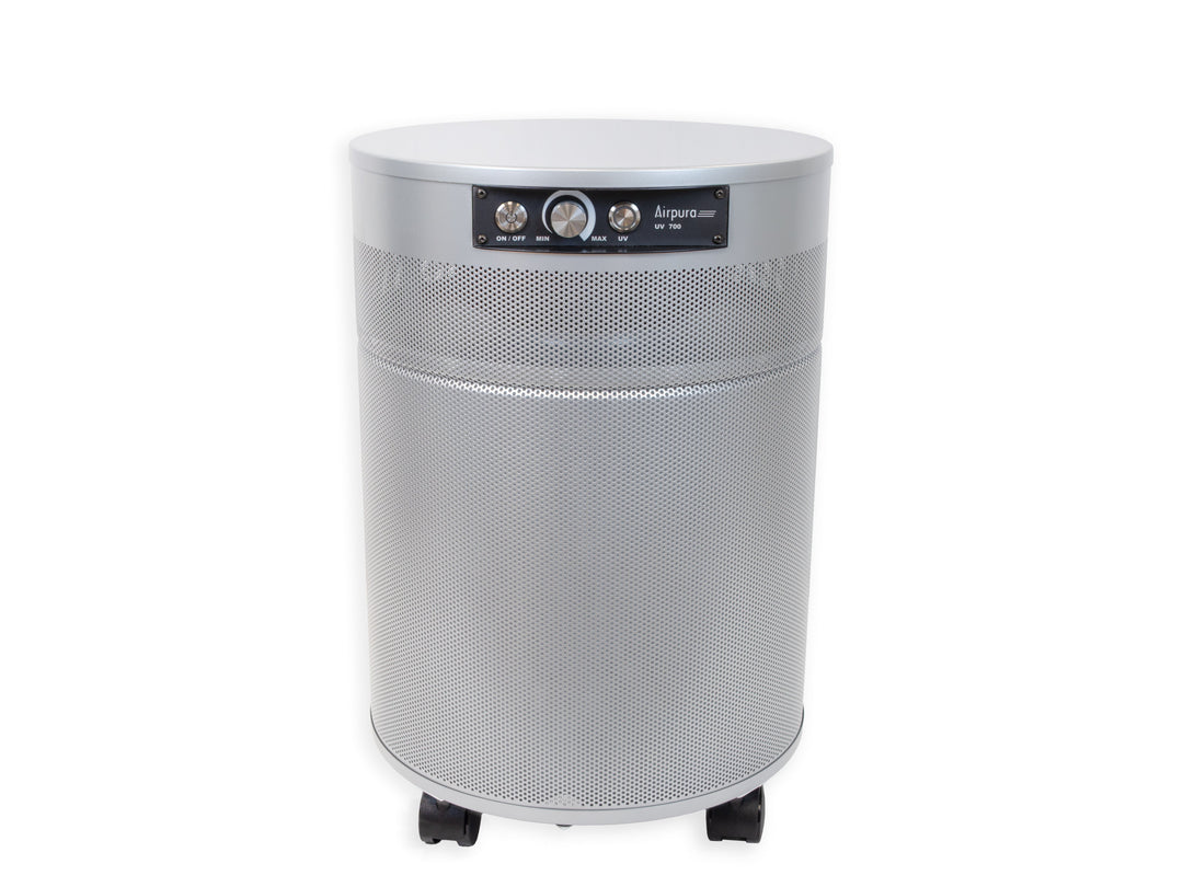 Airpura P700 in Soft Silver