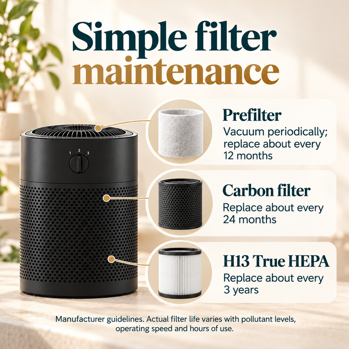 Airpura R400 prefilter, carbon filter, and H13 True HEPA maintenance guidelines
