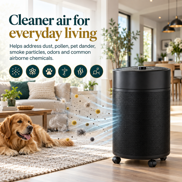 Airpura R600 for everyday dust, pollen, pet dander, smoke particles, odors, and airborne chemicals