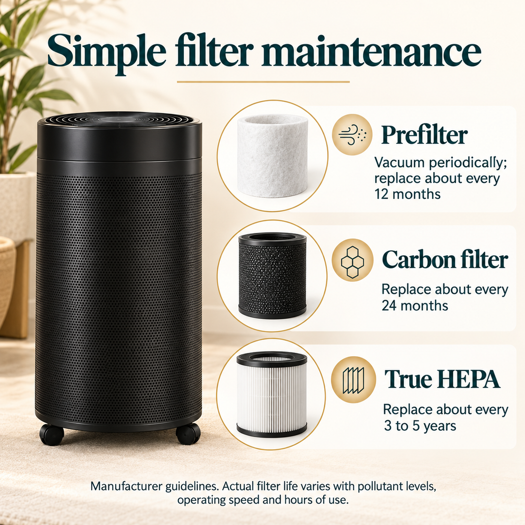 Airpura R600 prefilter, carbon filter, and True HEPA maintenance guidelines