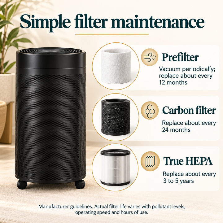 Airpura R600 prefilter, carbon filter, and True HEPA maintenance guidelines