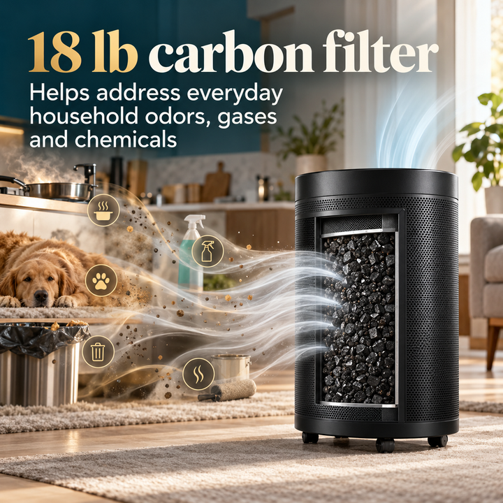 Airpura R600 18 lb carbon filter for everyday household odors, gases, and chemicals