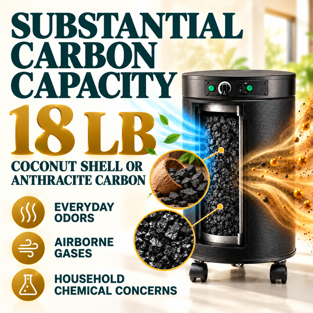 Airpura R614 carbon odor control