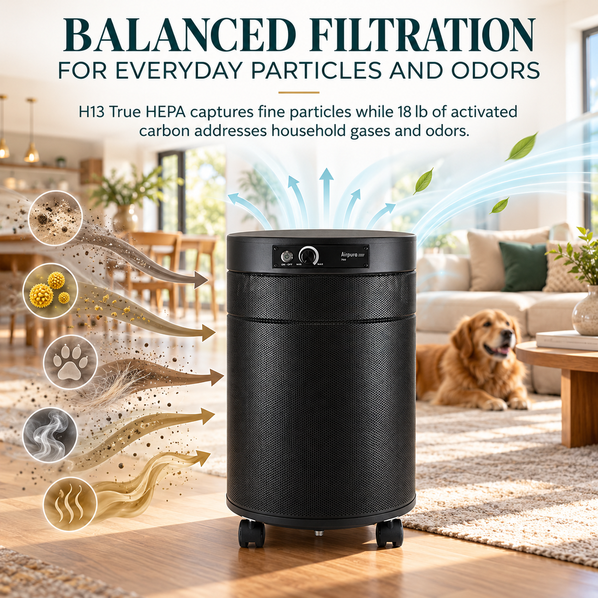 Airpura R700 balanced filtration for everyday particles and odors