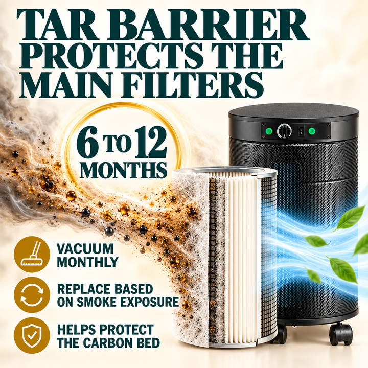 Airpura T600 Tar Barrier stage