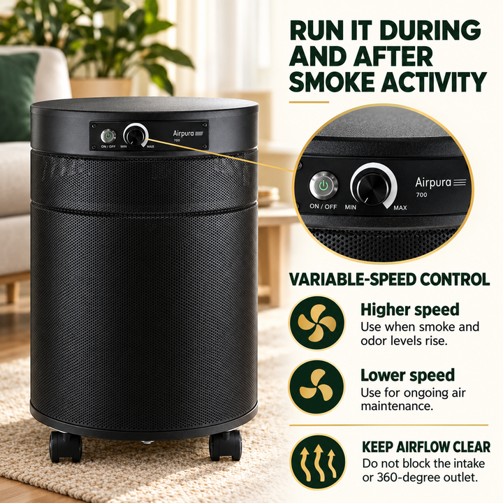 Airpura T700DLX variable-speed operating guidance