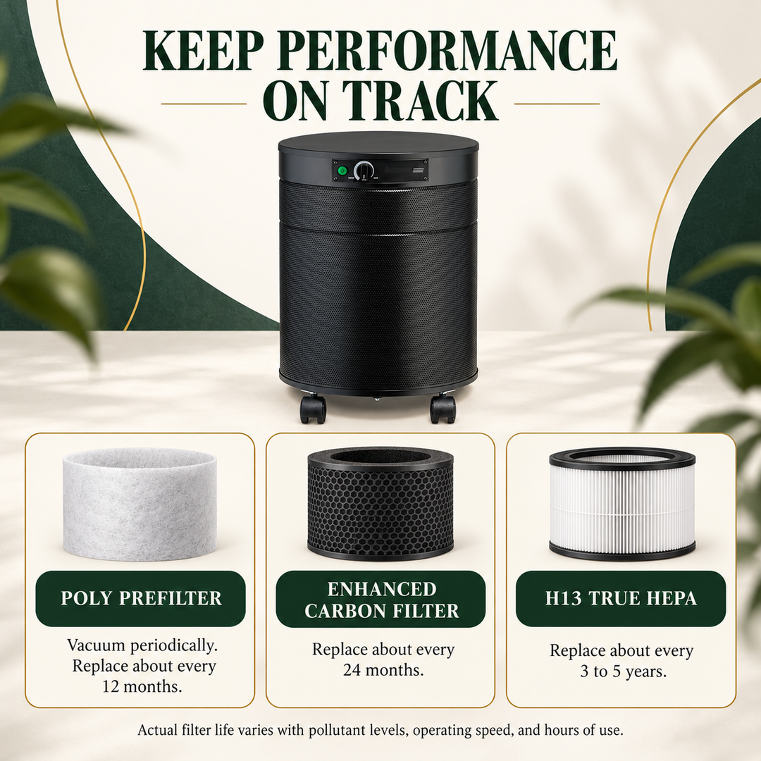 Airpura V600 filter care and replacement intervals