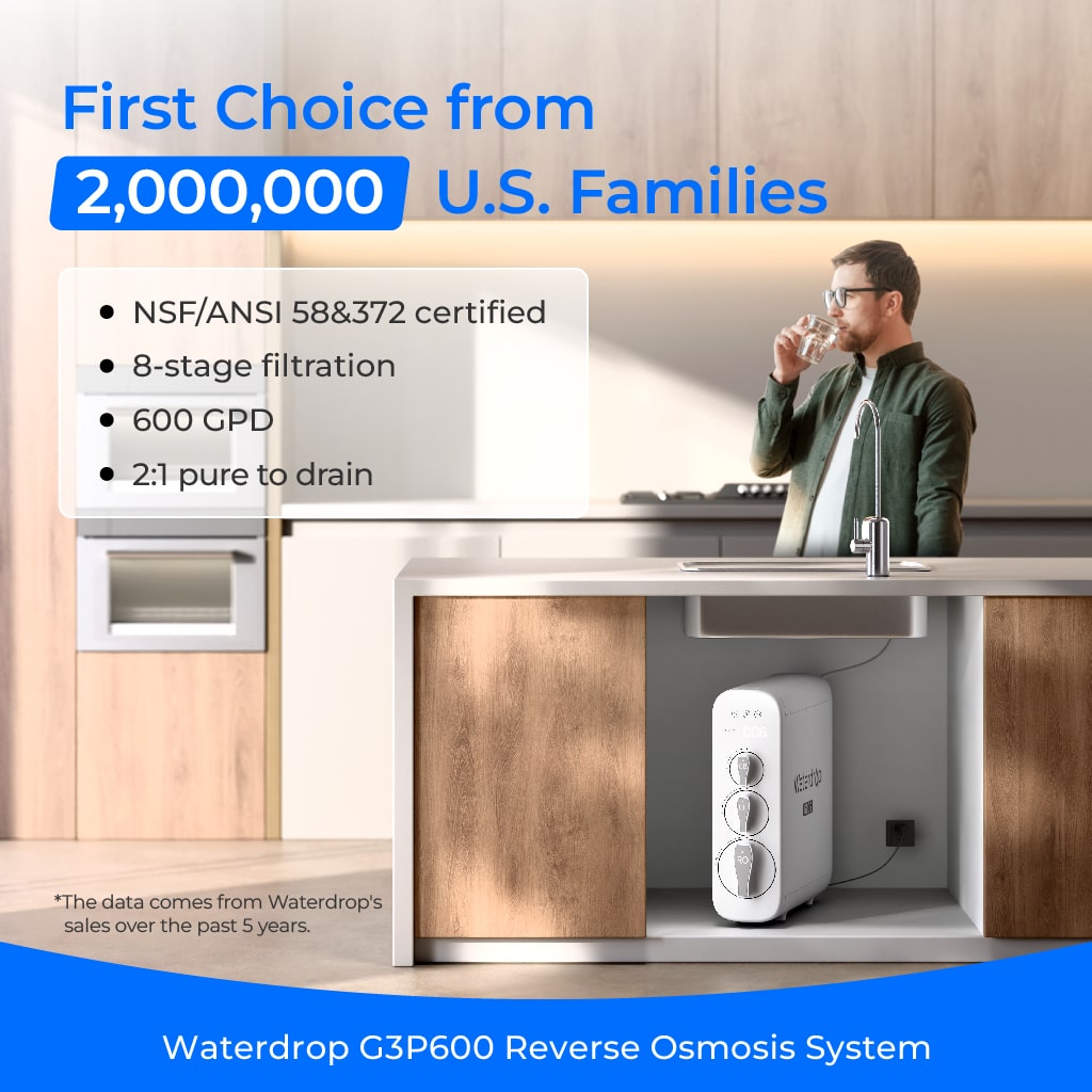 WD-G3P600 system product view 2